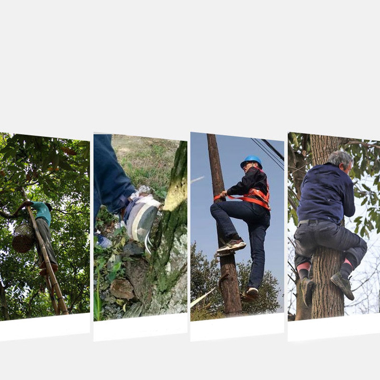 Sxhlseller Zestaw Kolców do Wspinania się na Drzewa, Zestaw Sprzętu do Wspinania się na Drzewa, Sprzęt do Wspinaczki Arborystów do Zbierania Owoców, Sporty Halowe i na świeżym Powietrzu,