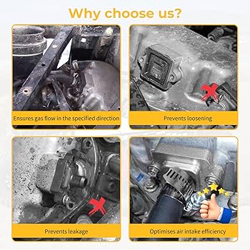 【S-low 】Jelly BeanTHEBARBAROCKETS Amazon.com: M MATI Air Breather Reed Valve Gasket Kit