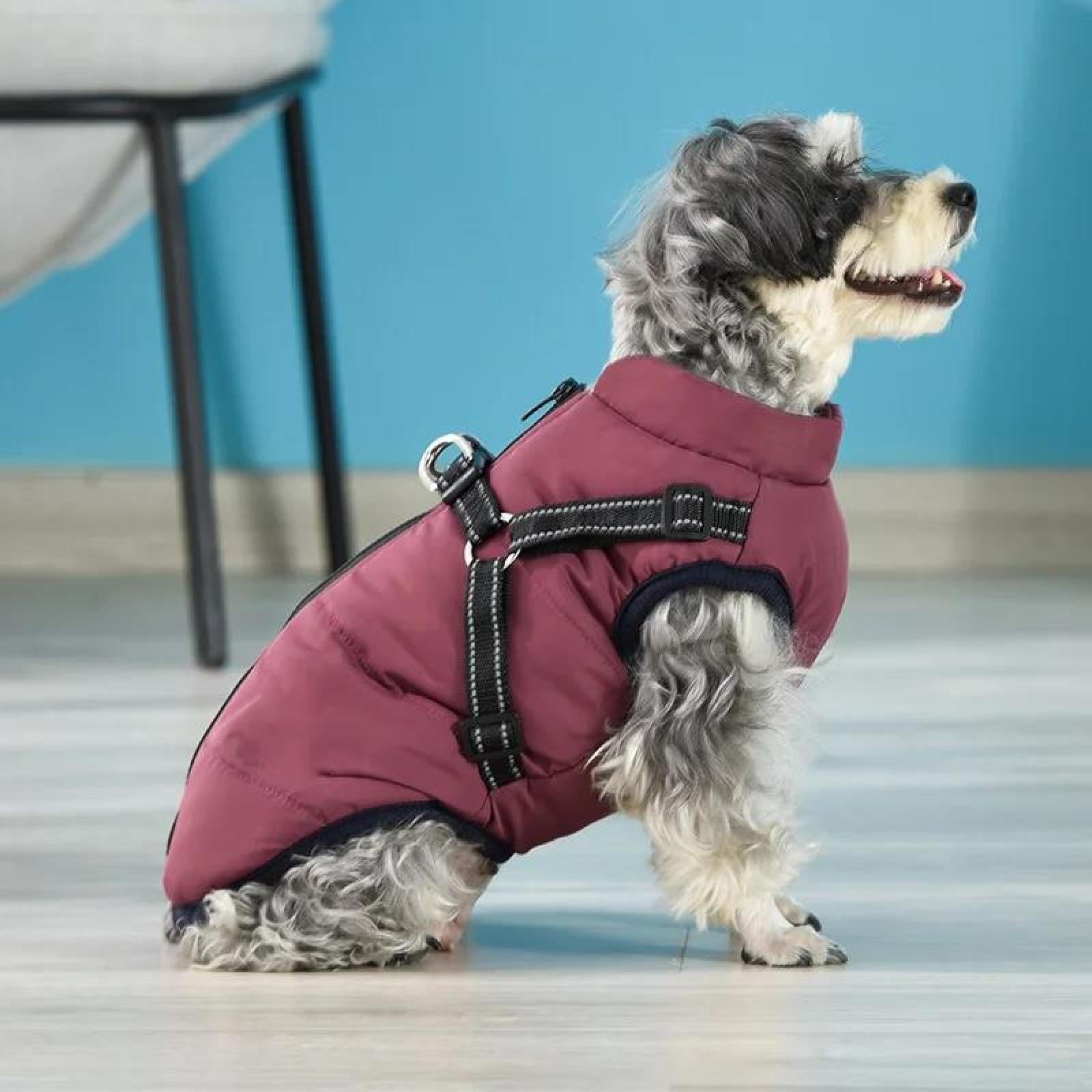 CITÉTOILE Warme hondenjas voor de winter, hondenjas met buikbescherming, winterjas voor honden met reflecterende, omkeerbare hondenjas, hondenkleding met harnasgat, groen, M
