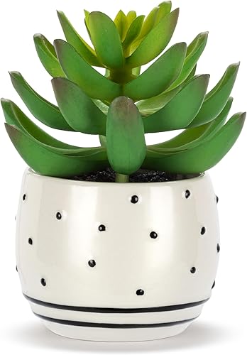 Vista 12 de DEMDACO Heartful Home by Tracy Pesche Collection Mini suculentas falsas corazones rojos lunares negros 2 x 1.5 gres decorativo para decoración