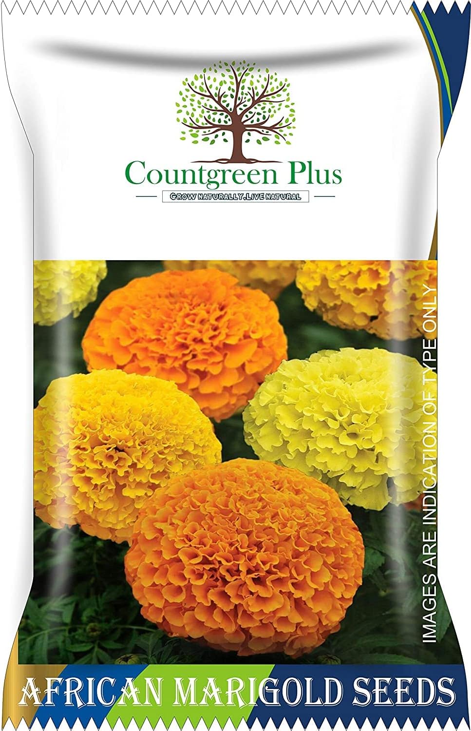 African Marigold (Genda) Annual Flower Garden Seeds for Home Gardening (400 Seeds) | Organic and Natural All Season Flowering Seeds for Pots