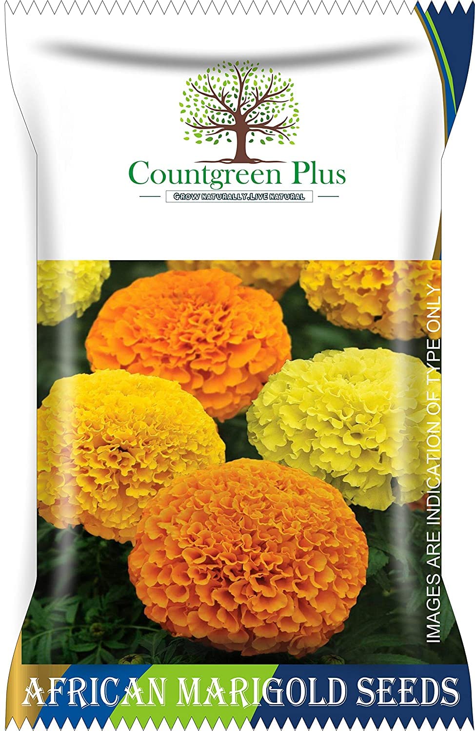 Countgreen Plus African Marigold (Genda) Annual Flower Garden Seeds for Home Gardening (400 Seeds) | Organic and Natural All Season Flowering Seeds for Pots