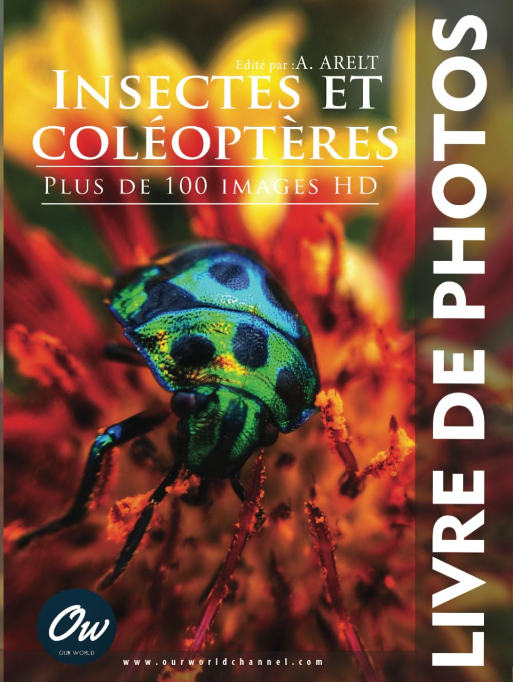 Insectes et coléoptères livre de photos pour décorer votre salon