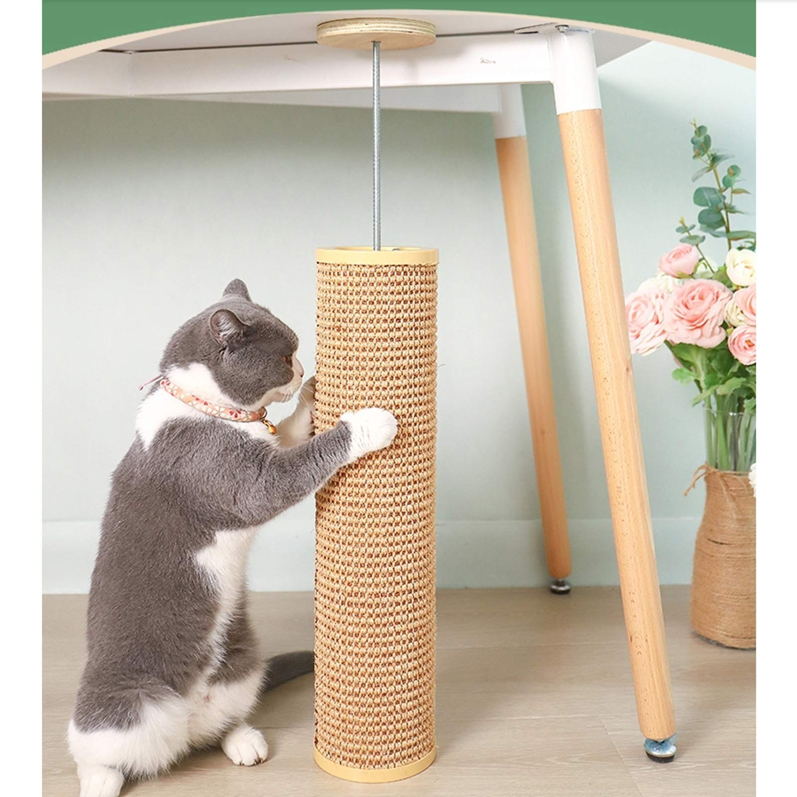 Generisch Kratzbaum für Katzen, Sisal-Kratzbaum, Kletterwand, am Käfig montierter Sisal-Kratzbaum für Katzen, platzsparender Kratzbaum (Größe: Klein)