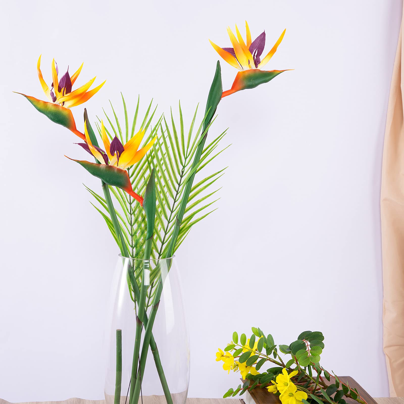 Mooie Paradijsvogelbloem kunst op canvas, behang en meer