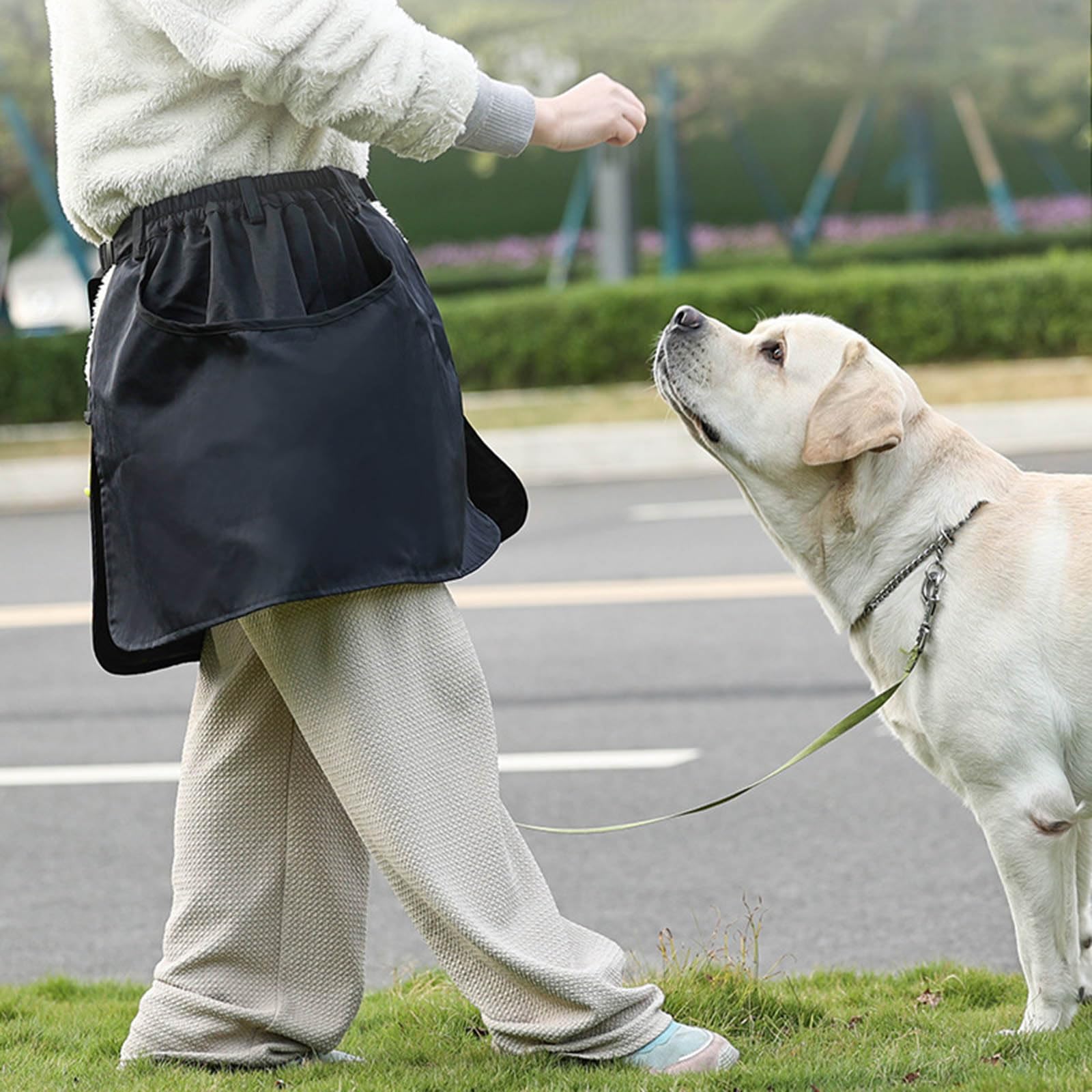 Sac à friandises pour chien pour l'entraînement en plein air, poches de marche avec poche amovible, étanche, sac de dressage multifonctionnel pour chien