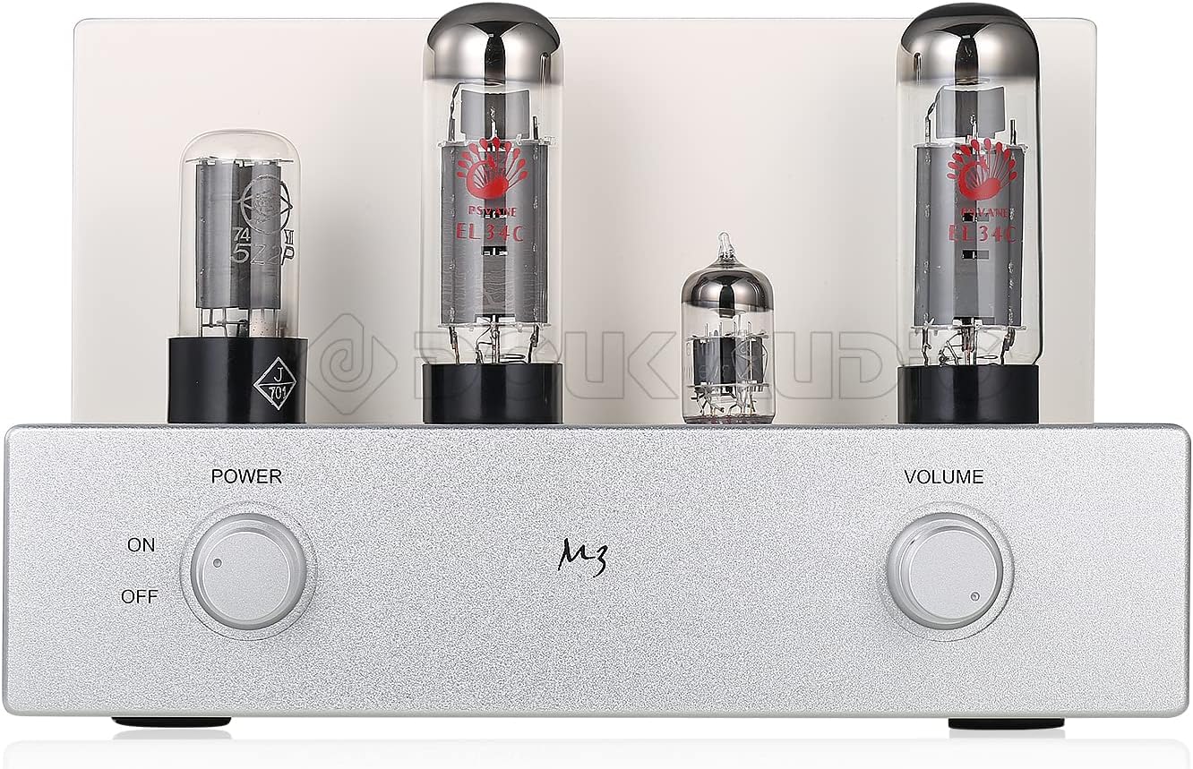 Davanti view of the Nobsound Mini EL34 Tube Integrated Amplifier, showing the power switch and volume knob.