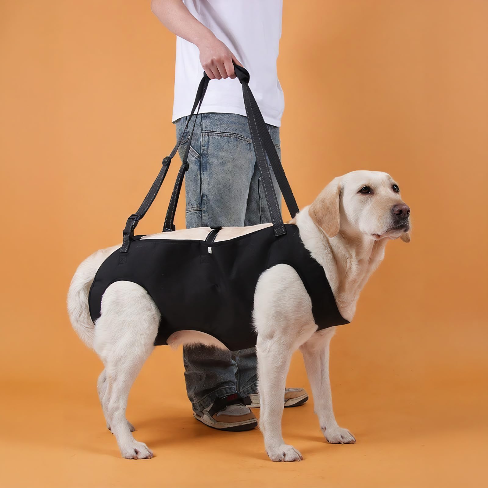 Hunde Tragehilfe, Tragehilfe Hund Treppe Verstellbare Gehhilfe für Hundes, Hundeliftgeschirr für Hinterbeine Hundegeschirr Heben mit Griffen für Gelenkverletzungen,Arthritis,Stabilitätsverlust hunde,M