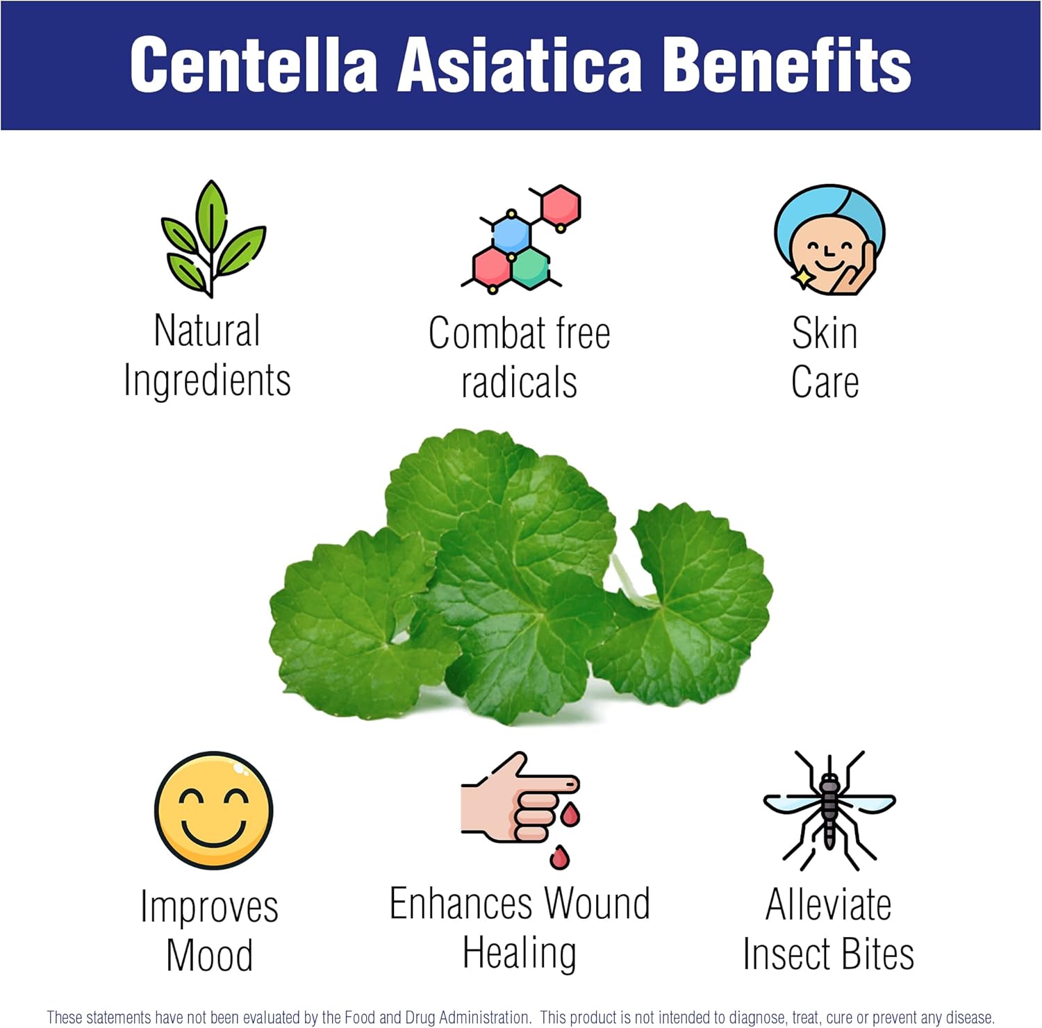 Centella Asiatica 500 mg 60 Capsules by Natural Systems - Gotu Kola Herb Moisturizer for Your Skin - Extract Also Beneficial for Calming Mind Tiredness - Image 7