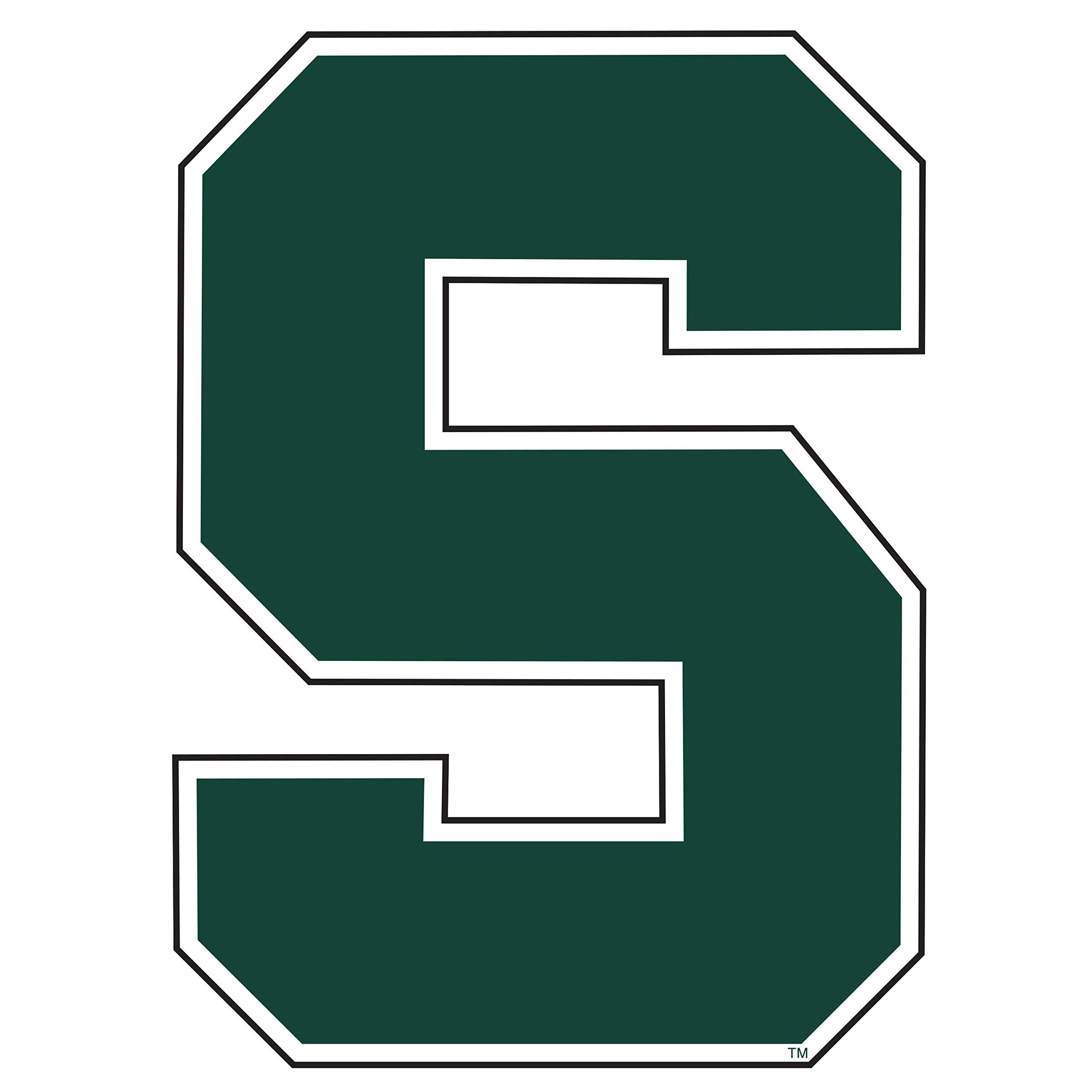 Michigan State Magnet (S MAGNET (3