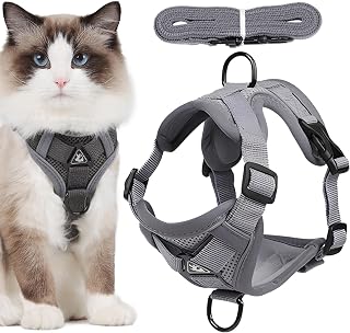 Kattsele, kattsele och koppel | Joggingkoppel för - Läckagesäker katt lätt | att kontrollera, reflekterande sele och koppel för utomhuspromenader