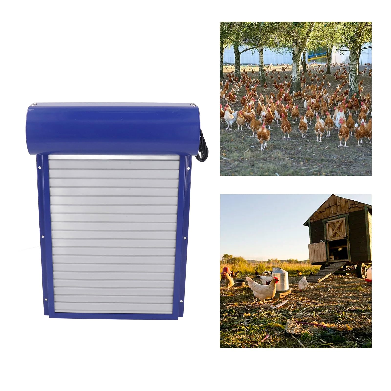 Porta Automatica per pollaio con impostazione dell'ora, Tenda Scorrevole, apriporta per polli per Anatre e oche