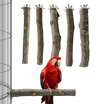 Bird Perch Parrot standing perch Natural wooden standing toy Paw grinding stick Branch platform Wild prickly stick Cage accessories for Parakeets, Cockatiels, Conures, Macaws, Finches 5PCS (15cm)