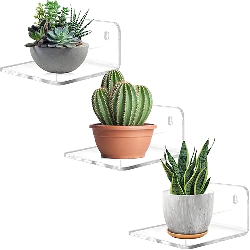 Acrylic Small Shelf,Mini Floating Wall Shelf,Wall Mounted Storage Shelf,for Pop Figures,Plant,Picture Photo Modern Wall for Office Bedroom Living Room,Clear (3 Pack)