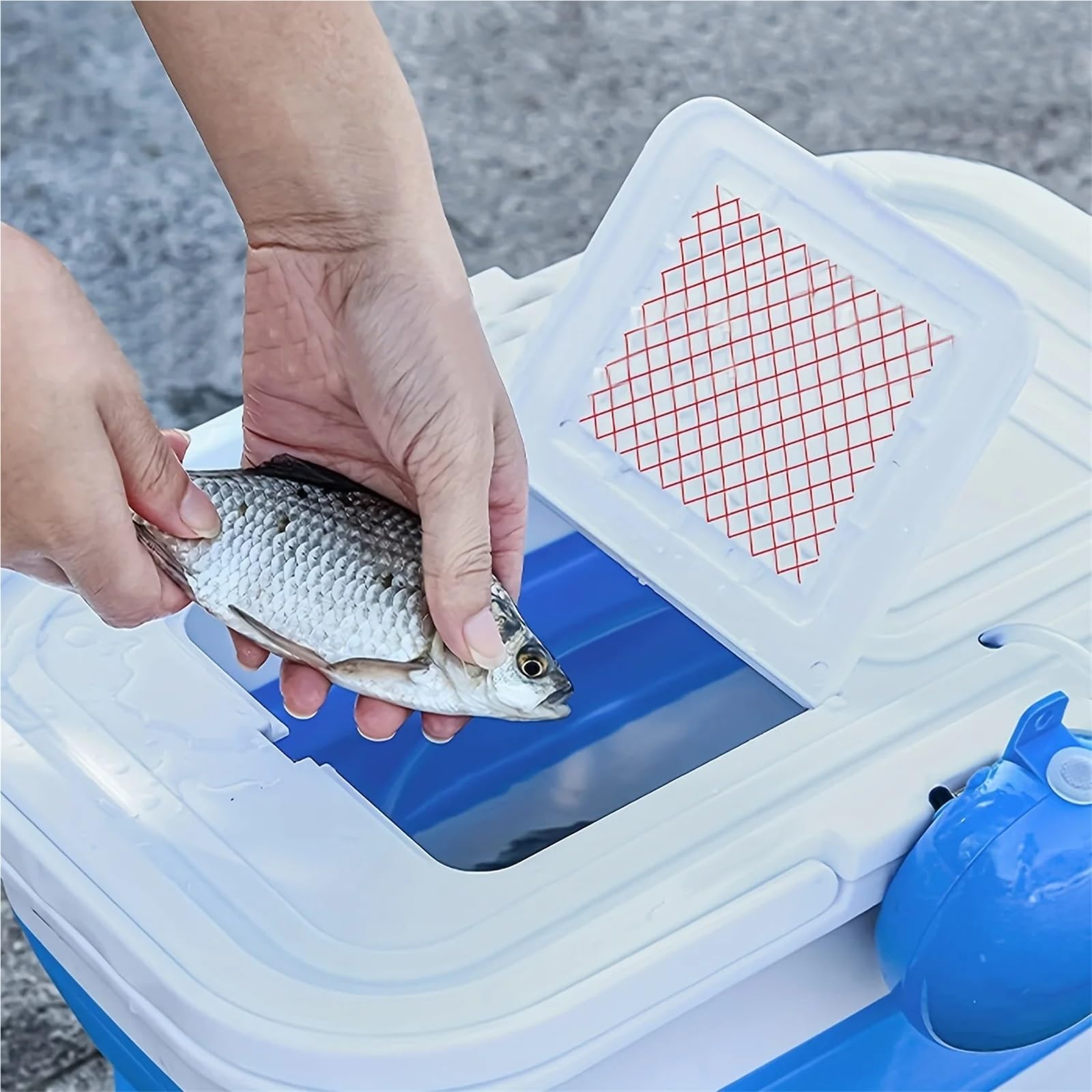 Cubo Plegable portátil for Peces, 13L, con Malla Transpirable, Adecuado for Viajes al Aire Libre, Senderismo y Pesca, 1 Uds para Lavado Camping(Grey)
