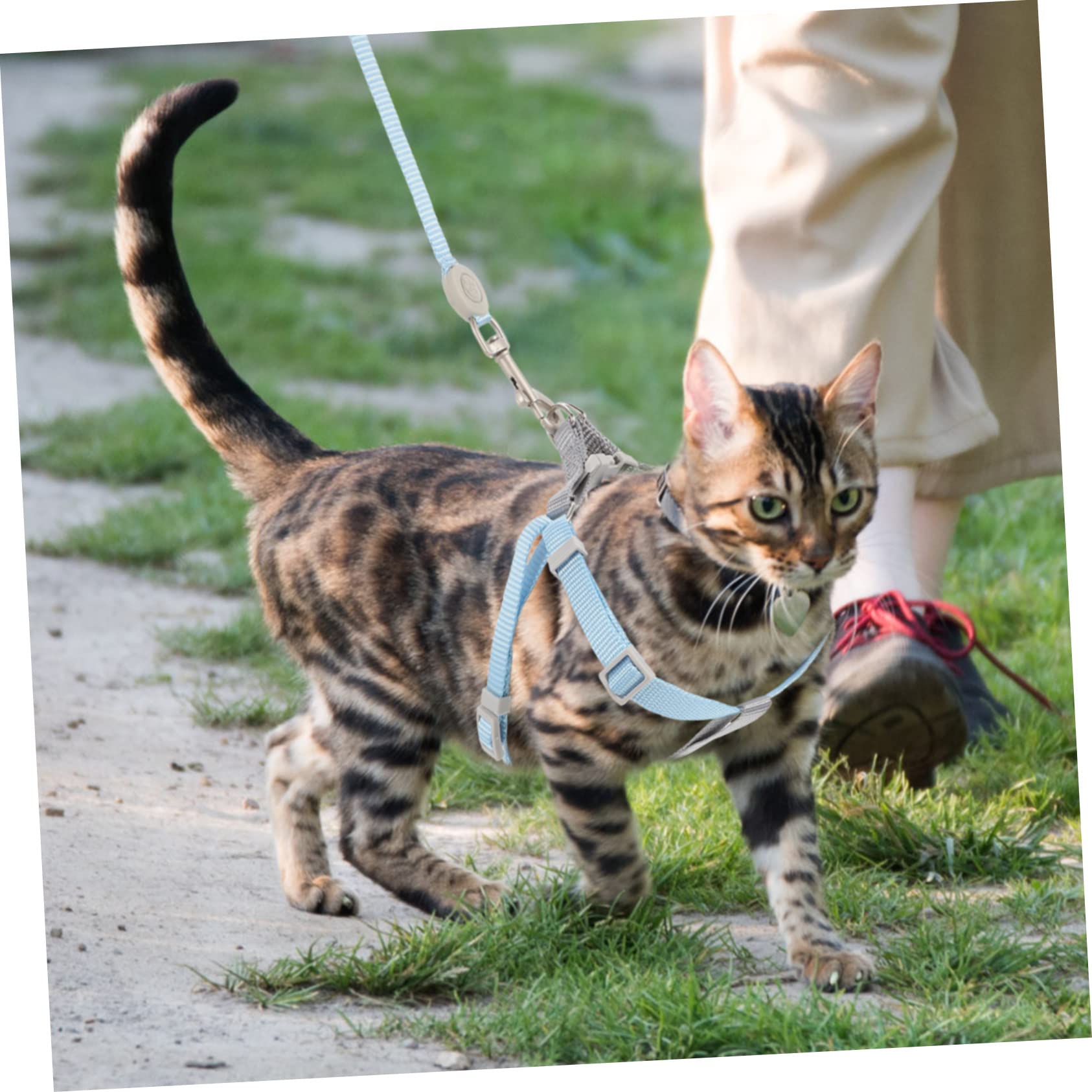 BESTonZON 1Set Cat Harness and Leash Set Escape Soft Walking Gear for Small to Cats Stylish Design Easy to Control for