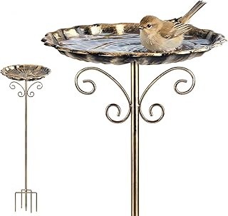Bird Bath for Garden