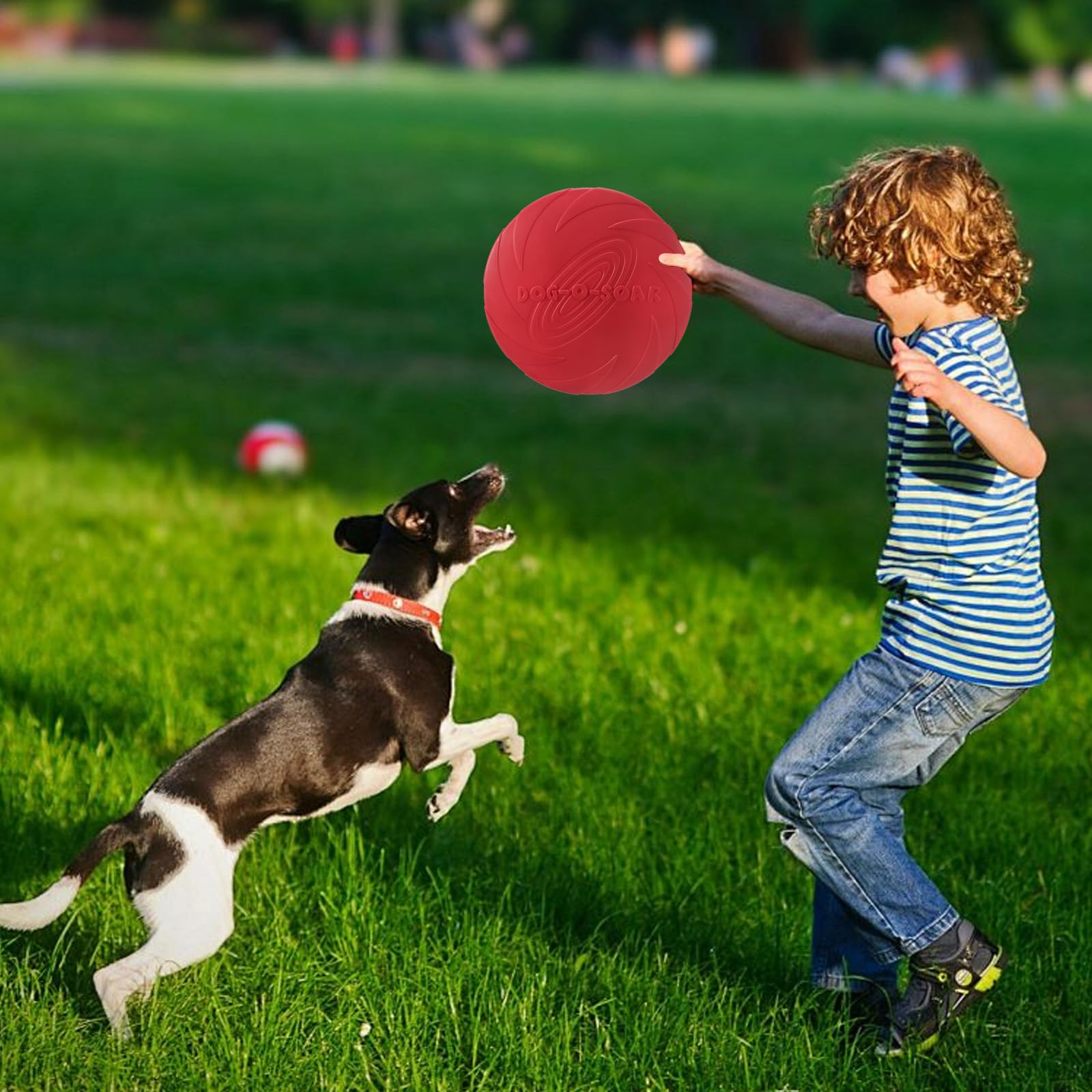 Lot De 2 Freesbee pour Chien De 18 Cm, Frisbee Caoutchouc Naturel, en Caoutchouc Souple, Adaptés Au Dressage des Animaux (Rouge Et Vert)