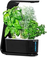 AeroGarden Sprout Indoor Hydroponic Garden with LED Grow Lights - Grow 3 Herbs, Veggies or Flowers Year-Round, Soil-Free