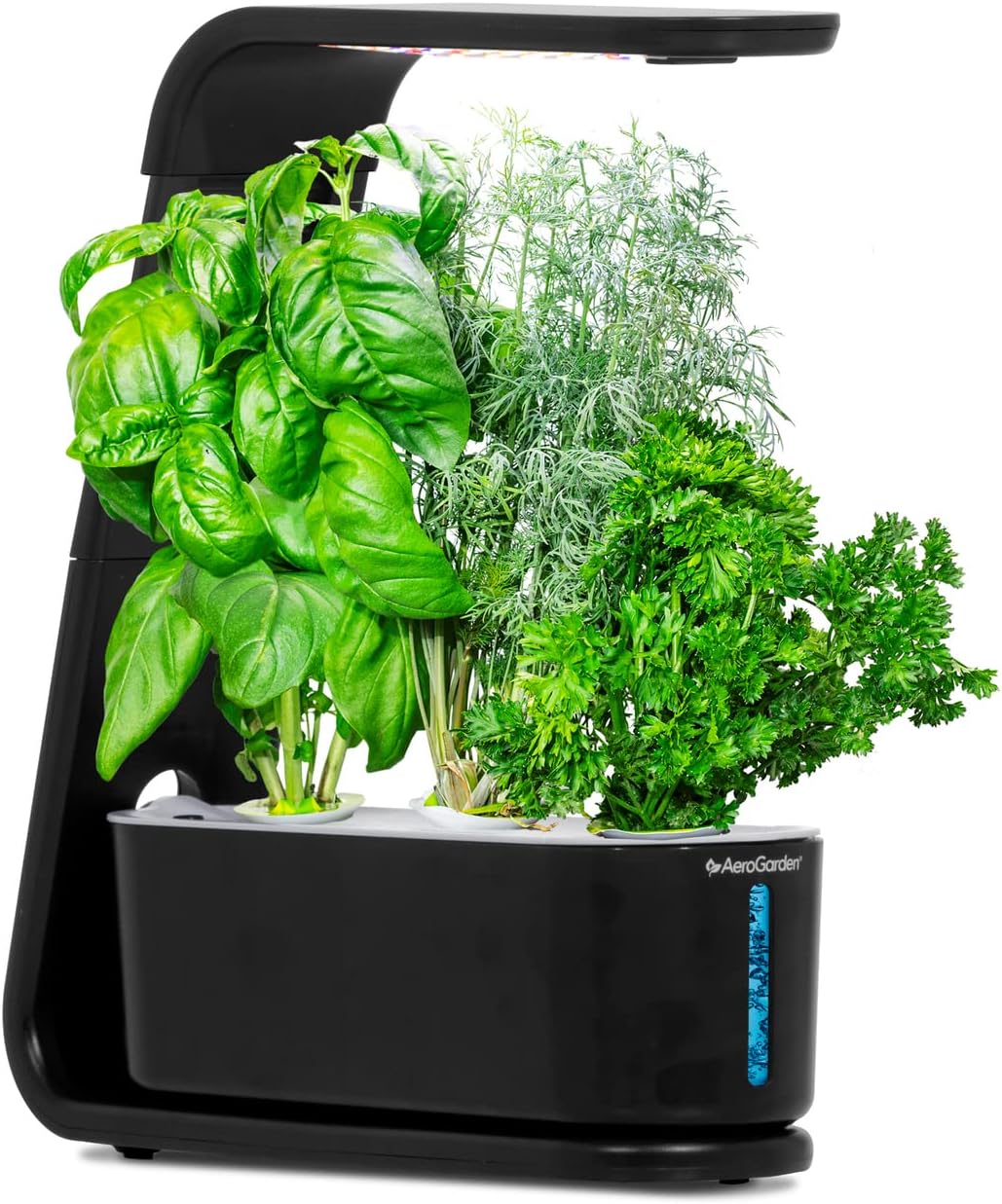 AeroGarden Sprout — Indoor Herb Garden