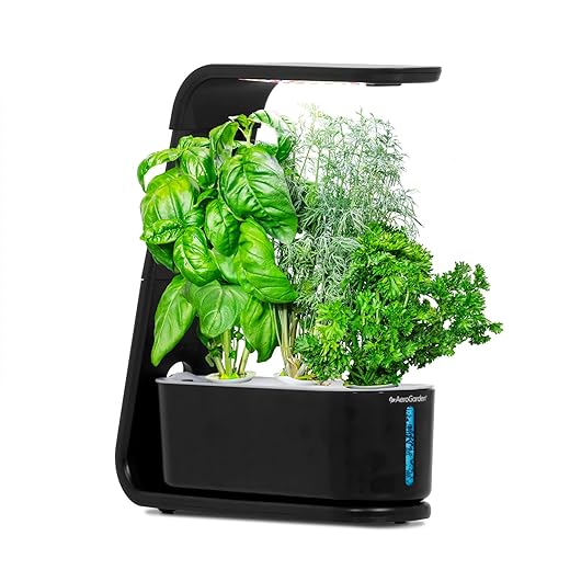 AeroGarden Sprout with Gourmet Herbs Seed Pod Kit - Hydroponic Indoor Garden, Black