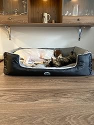 Jazooli Office Chair Mat For Carpet Floors 100cm X 68cm | INDIA