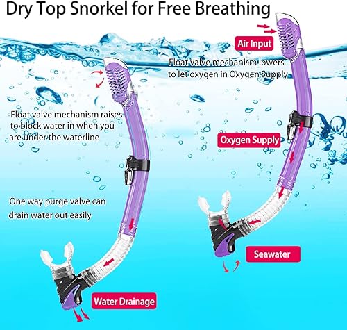 Miniatura 3 de Equipo de esnórquel para adultos con aletas, equipo de buceo profesional para adultos, juegos de esnórquel de viaje con aletas, máscara de buceo