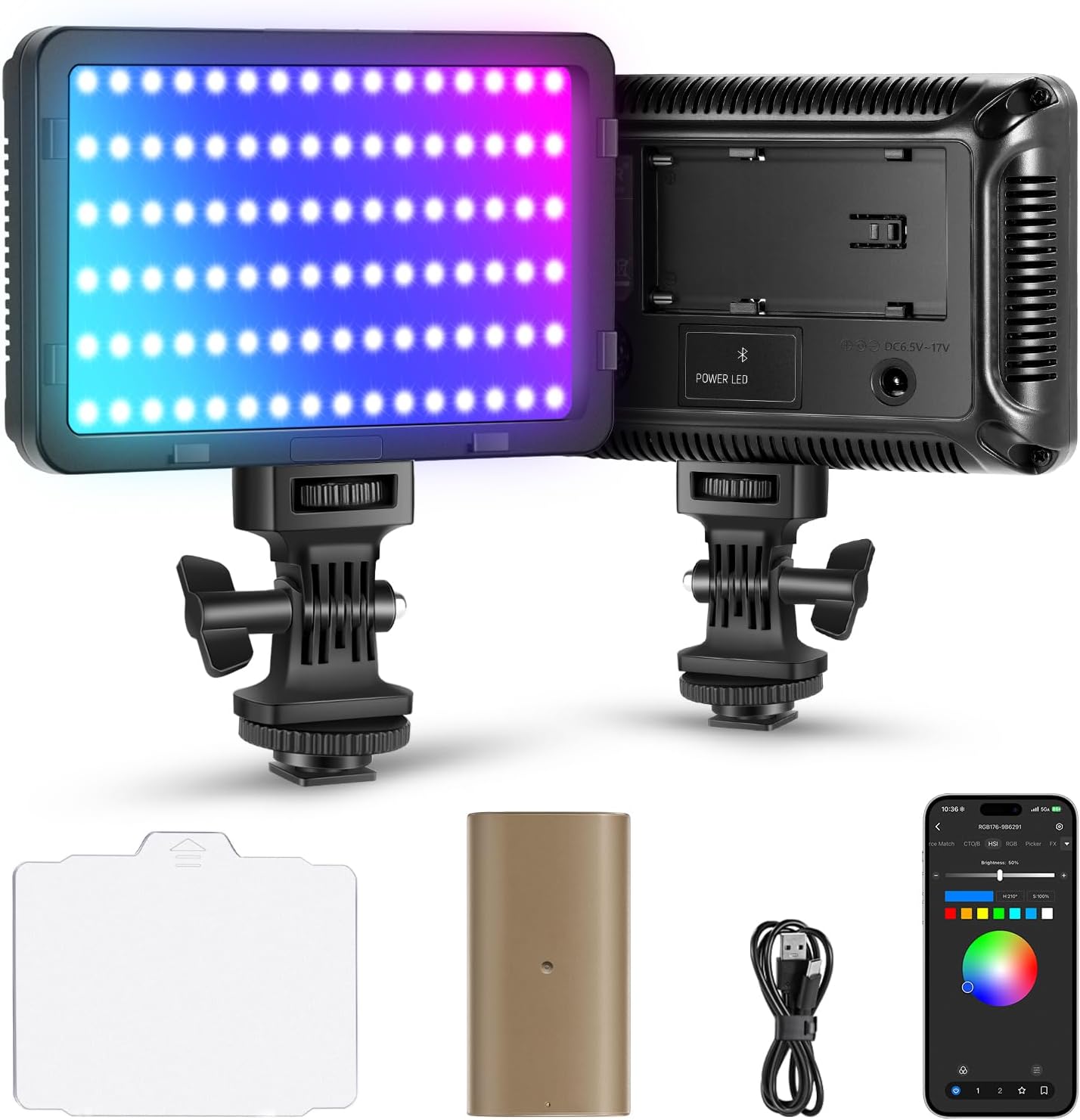 NEEWER RGB Video Light with 4000mAh NP-F750 Replacement Battery, APP Control 360° Full Color LED Camera Key Lighting CRI95+ Dimmable for Studio DSLR Camcorder Photography Recording Streaming, RGB176