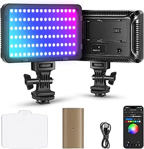 NEEWER RGB Video Light with 4300mAh NP-F750 Battery Replacement, App Control, LED Lighting Full Color Camera 360°, CRI95+ …