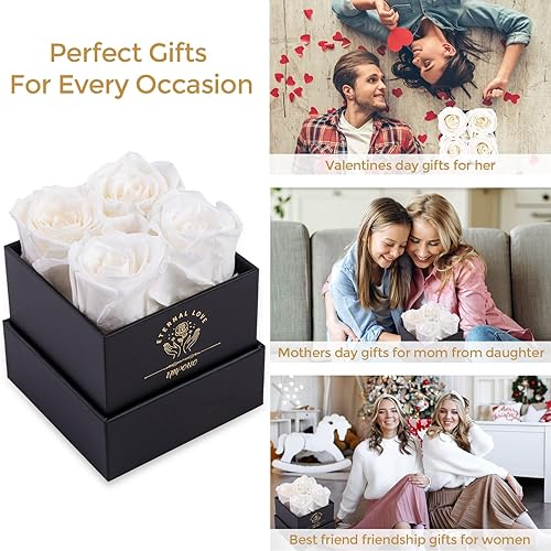 Miniatura 5 de Impouo Rosa preservada, regalos para ella, regalos de cumpleaños para mujeres, regalos para mamá, novia, esposa, abuela, Navidad, cumpleaños, día de