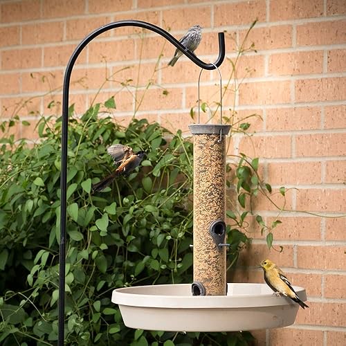 Miniatura 7 de BEAU JARDIN Gancho de pastor de 65 pulgadas de alto 12 pulgadas de grosor, Metal de alta calidad, resistente para exteriores, Ganchos de pastor para