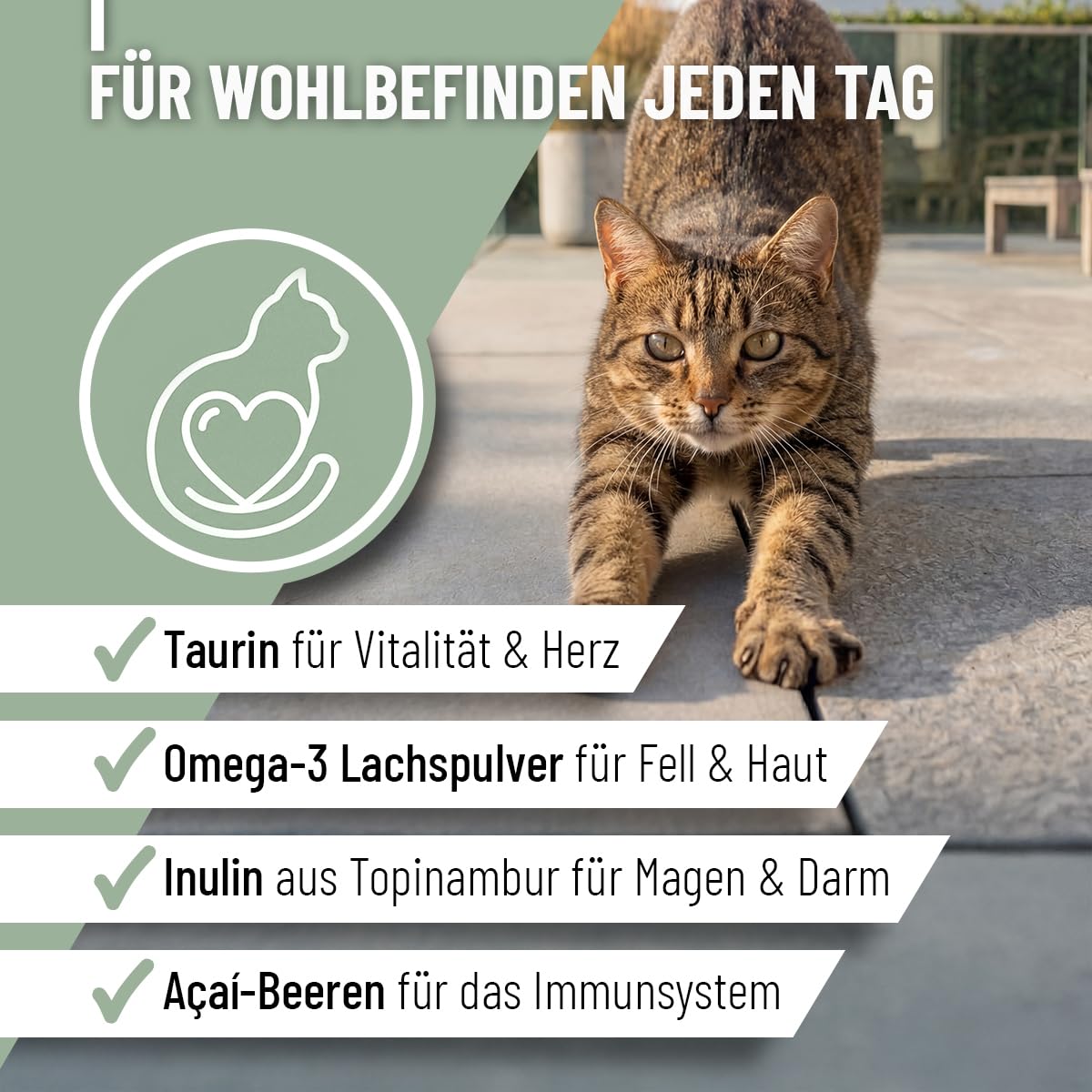 ReaVET Complete Cat 4 en 1 - Suministro natural para gatos durante 2 meses, vitaminas para gatos, activa las defensas, fortalece el sistema inmunológico, articulaciones y gastrointestinales, con