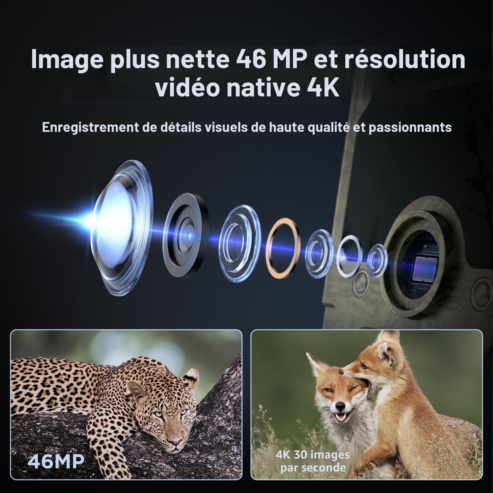 WOLFANG Caméra de Chasse, Camera Chasse Solaire WiFi 4K/68MP, Détecteur de Mouvement de 0,1s, avec App, 5200mAh Batterie, Vision Nocturne, IP66 Etanche pour l'observation des Animaux