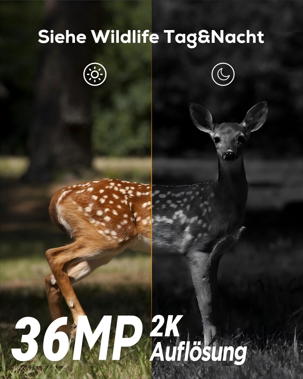iZEEKER Wildkamera Ohne WLAN, Wildtierkamera mit 940nm No Glow Infrarot LEDs, Wildkamera mit Bewegungsmelder Nachtsicht IP66 Wasserdicht für die Tierbeobachtung Heim Sicherheit