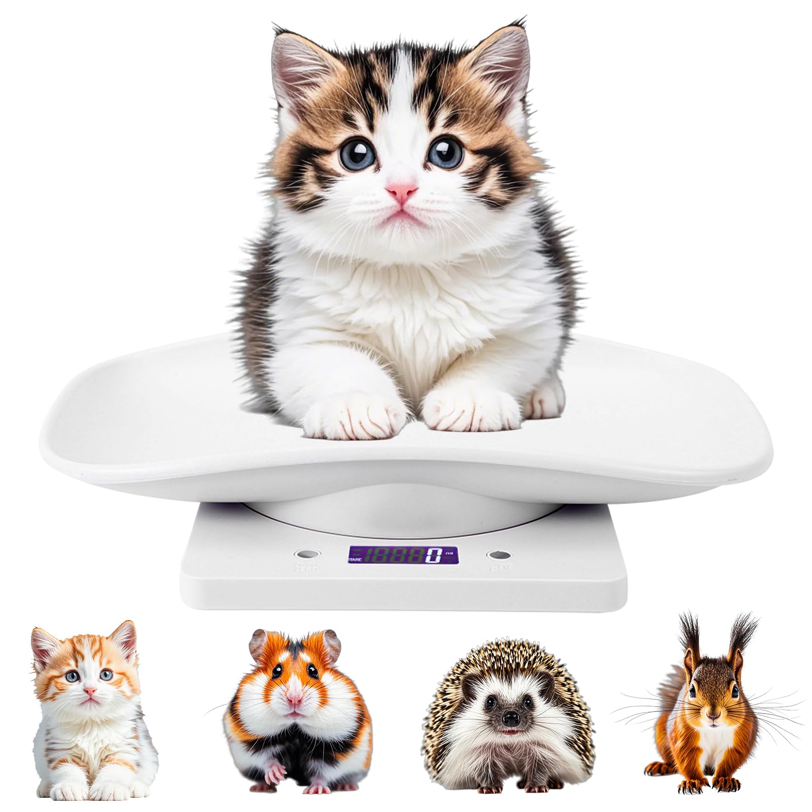 Báscula Portátil de Alta Precisión para Mascotas de 10 Kg/1 G, Báscula Digital para Bebés Recién Nacidos, Báscula Digital para Mascotas Pequeñas para Gatos, Perros, Herramienta de