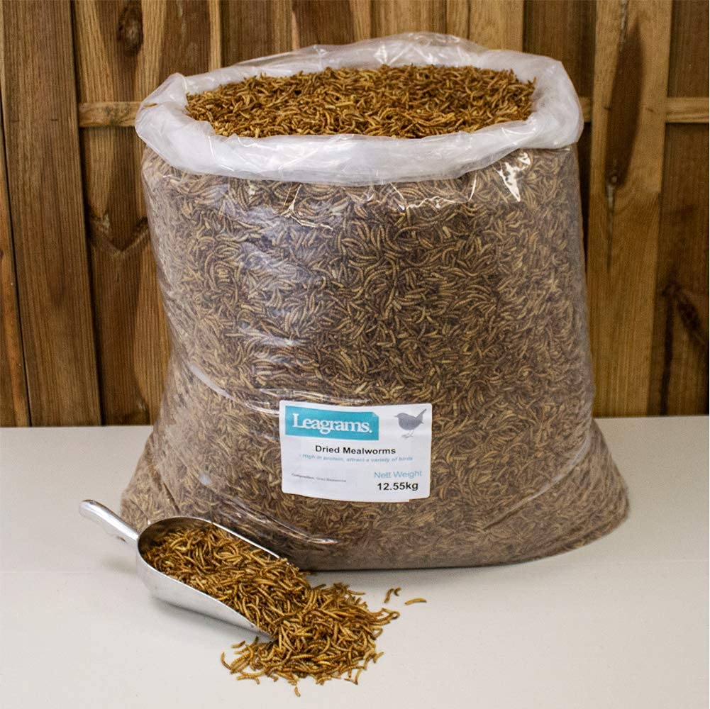 Leagrams Dried Mealworms - High Energy Protein Rich Premium Wild Bird Food (12.55kg)