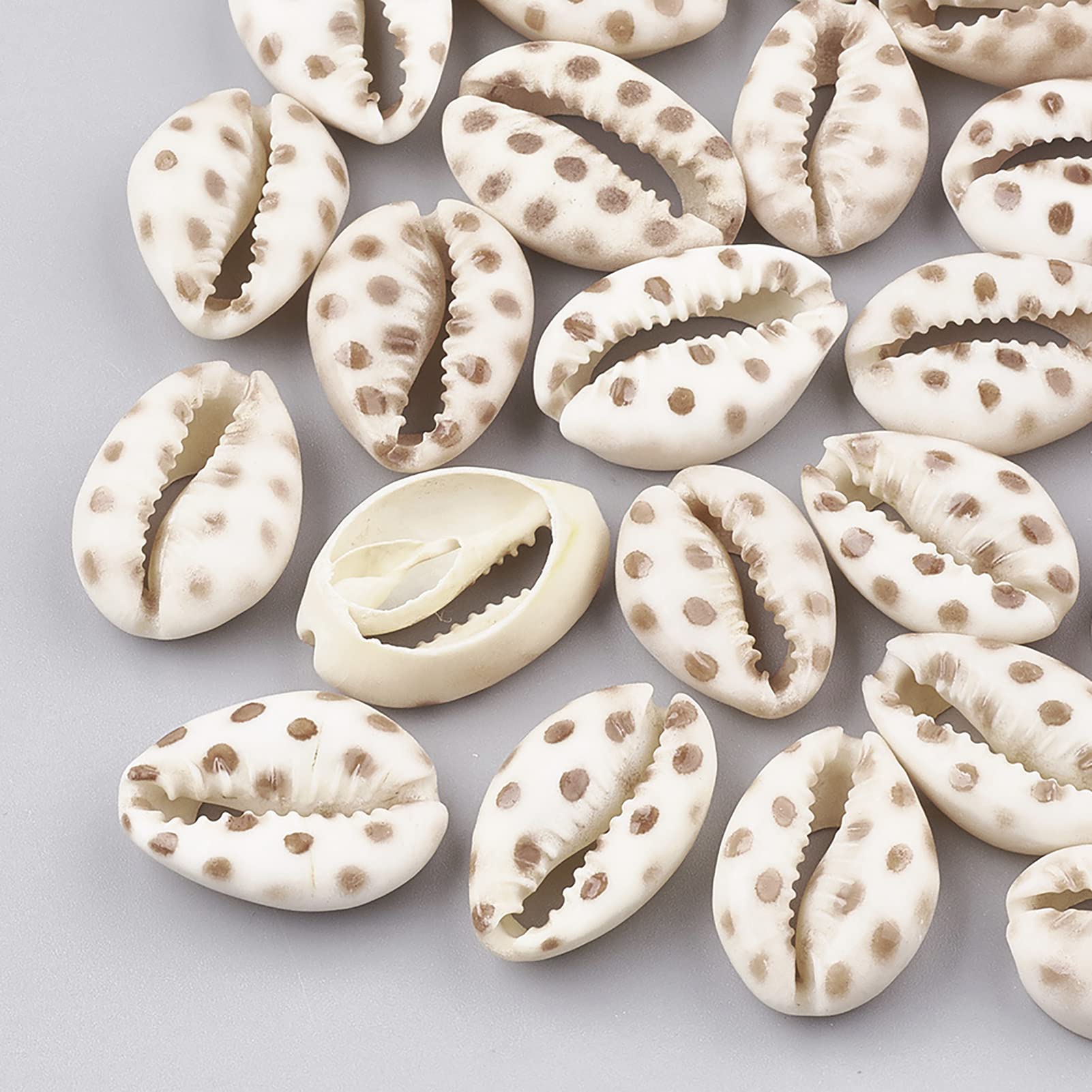 20pcs Camel Cowrie Shell Beads Undrilled Printed Polka Dots Spiral Seashell Loose Spacer Beads Summer Beach Shell Charms 20~26mm for Vase Filler Fish Tanks Home Party Decoration DIY Jewelry Making