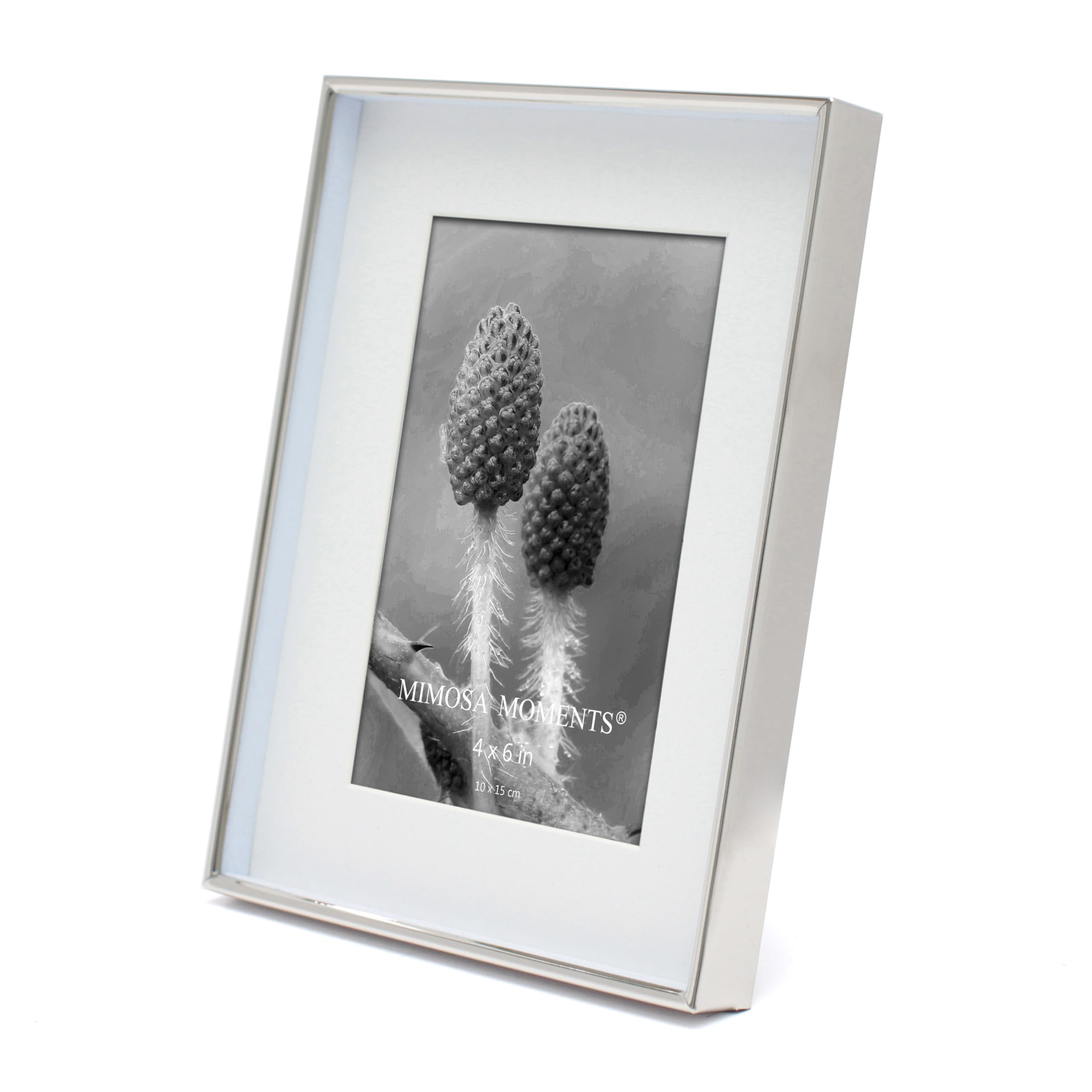 Amazon.com - MIMOSA MOMENTS 6x8 Silver Shadow Box Metal Picture