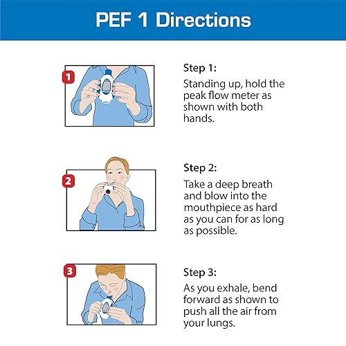 Miniatura 6 de Microlife PF100 Medidor de flujo máximo para espirometría con VEF1, color blancoazul