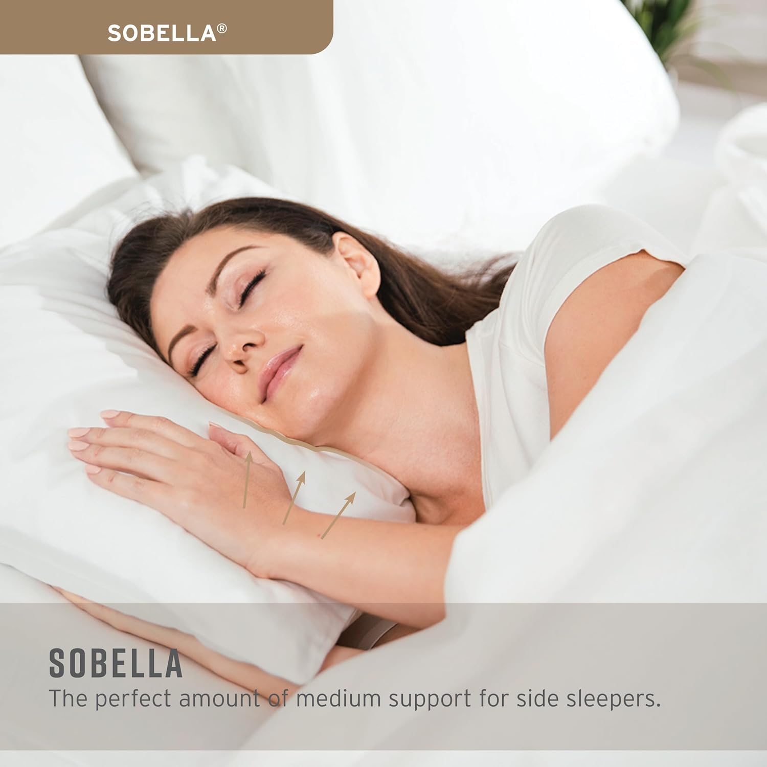 Hotel Sobel Westex Soft Pillow Sahara Nights Pillow Uk Cheap