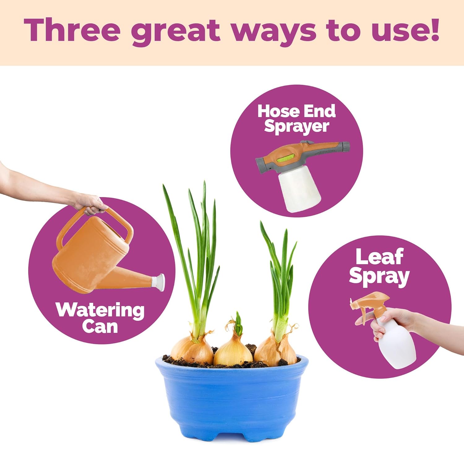 Onion Fertilizer – Liquid Plant Food for Bigger Bulbs, Strong Root Development & Healthy Growth, 32 oz