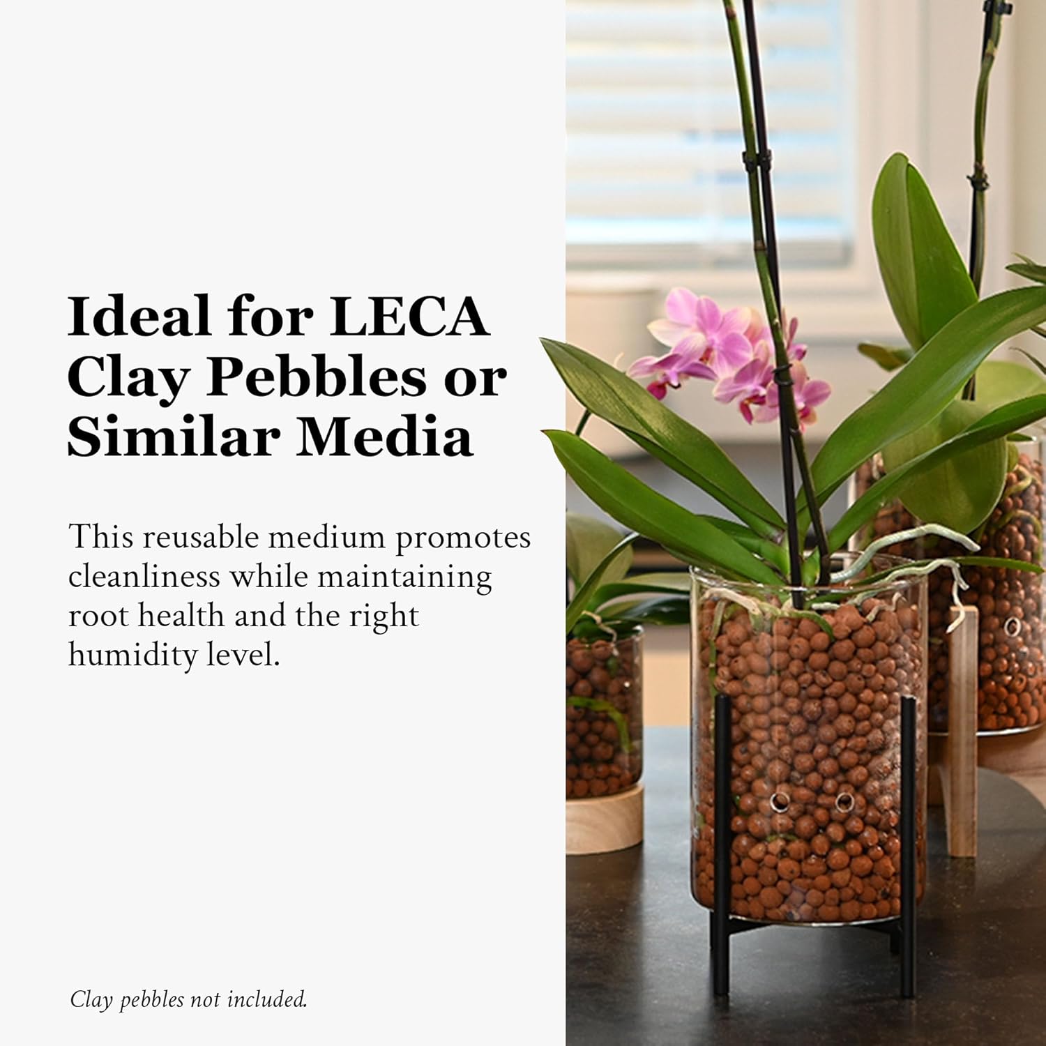 Pot & Pebble - C8 Glass Planter with Decorative Metal Base - Plant Propagation Station with Water Level Control - Plant Cutting Holder for LECA Clay Pebbles/Similar Media - Semi Hydroponic Planter