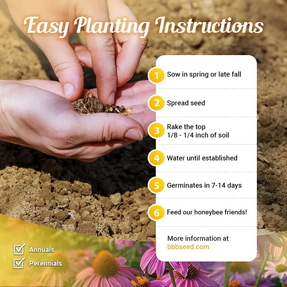Honey Source Wildflower Seeds Mix for Honey Bees - 4oz, Premium Annual and Perennial Flower Seed Mix – Bulk Planting for Pollinator (Pack of 2)