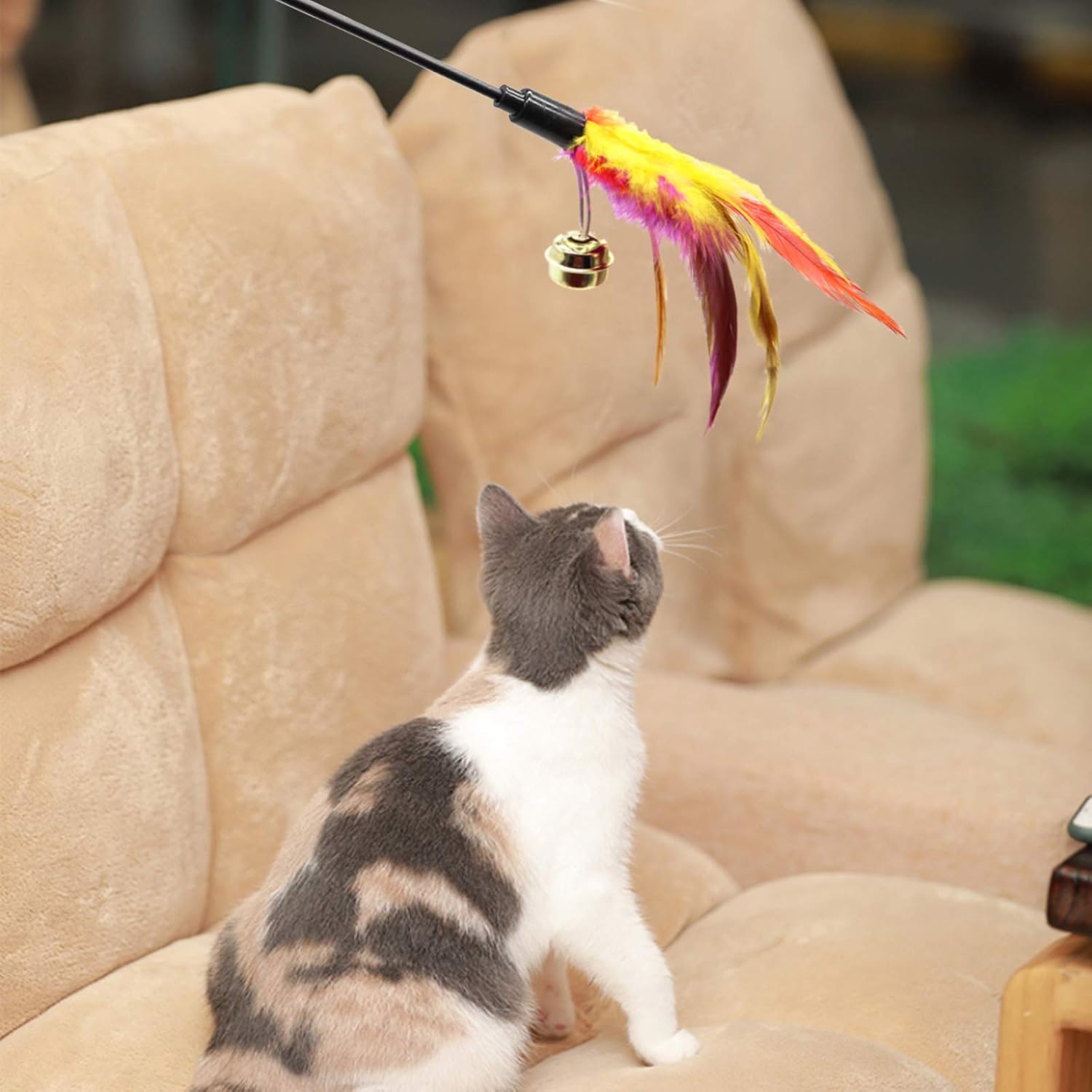 6Pcs Cat Feather Wand Toys, Cat Color Vary Feather Teaser Exerciser Wand, Colorful Feathers Bell Toys for Cat and Kitten : Pet Supplies