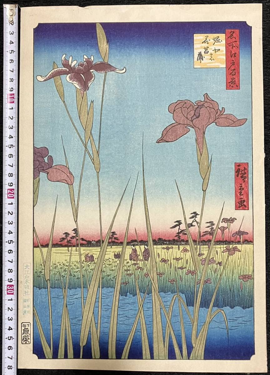 Amazon.co.jp: 復刻版 歌川広重「名所江戸百景 堀切の花菖蒲」大江戸版