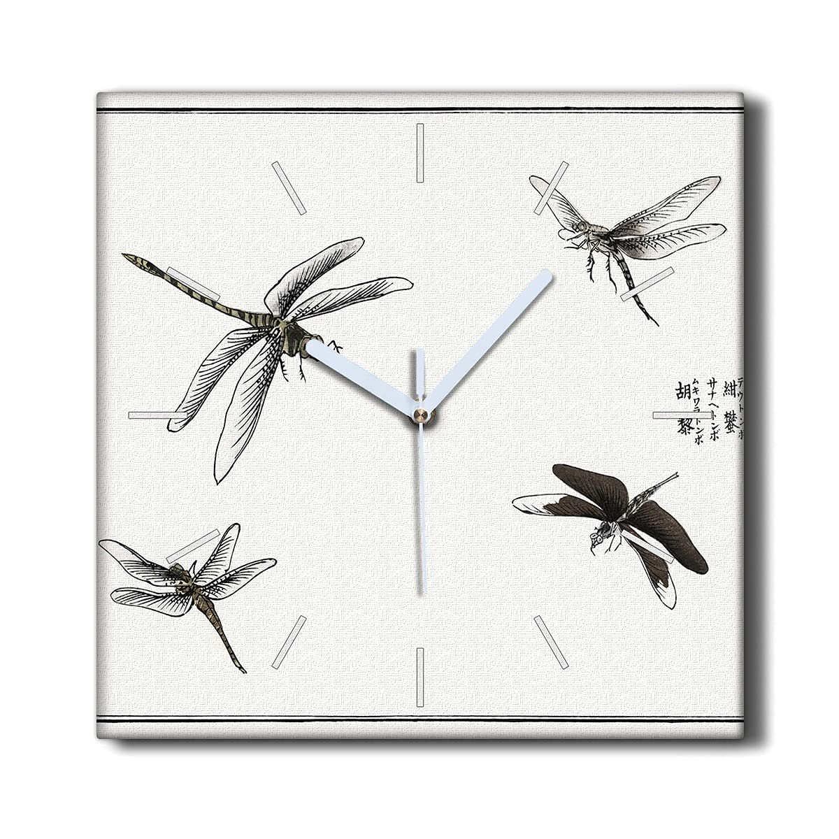 Horloge sur Toile 30x30cm Insectes vers Cadre Silencieux de Salon