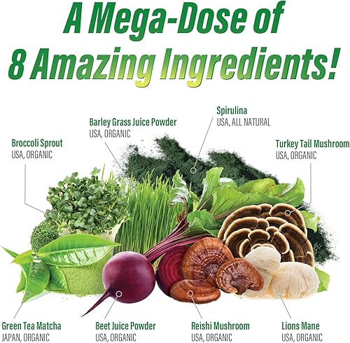 Miniatura 3 de Myogenix MyoVite SuperGreens - Suplemento diario en polvo de verduras - Mejora la digestión, fortalece la inmunidad y mejora la alcalinidad -