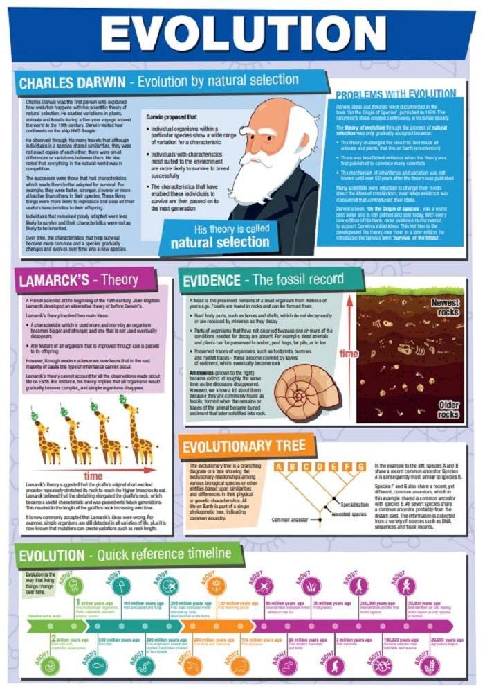 Natural Selection Timeline 1. Natural Selection Digital Atlas Of