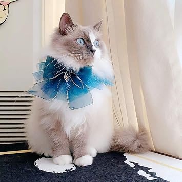 Amazon V Trust おしゃれ 手作り 多彩 チュール ペット 首輪 犬 猫用 よだれかけ 調節可能 小動物 軽量 首飾り ファッション小物 L Bタイプ V Trust ベーシック首輪 通販 Amazon V Trust おしゃれ 手作り 多彩 チュール ペット 首輪 犬 猫用 よだれかけ 調節可能 小動物 軽量 首飾り ファッション小物 L Bタイプ V Trust ベーシック首輪 通販