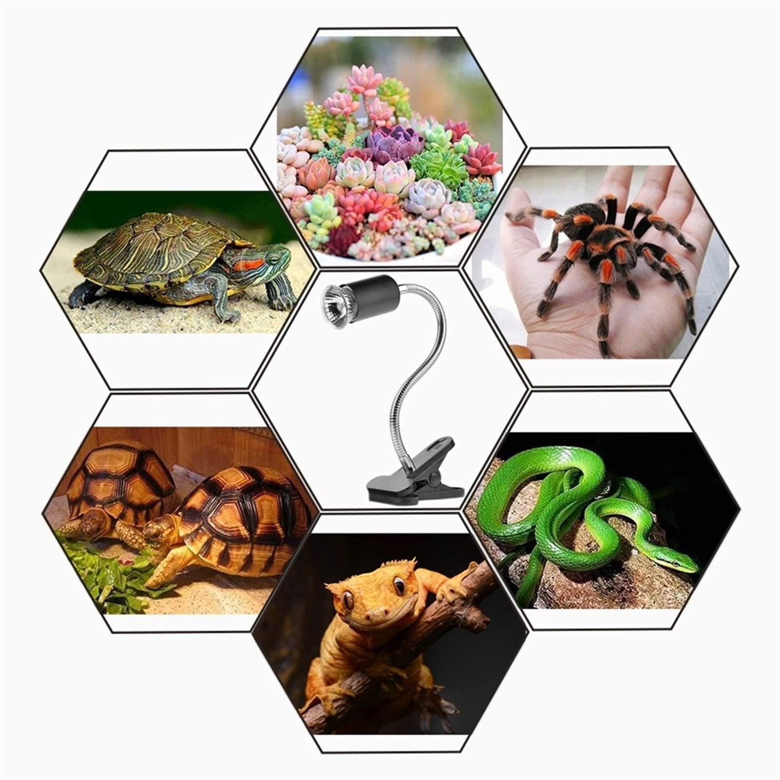 Riscaldatore per Animali Domestici 25W 50W del Rettile della Lampada di Calore della Lampada di Clip con portalampada UVA UVB Basking Lampada for rettili Lizard Turtle Snake Acquario
